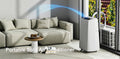 Portable Split Air Conditioner in Living Room — Indoor Unit with Outdoor Compressor